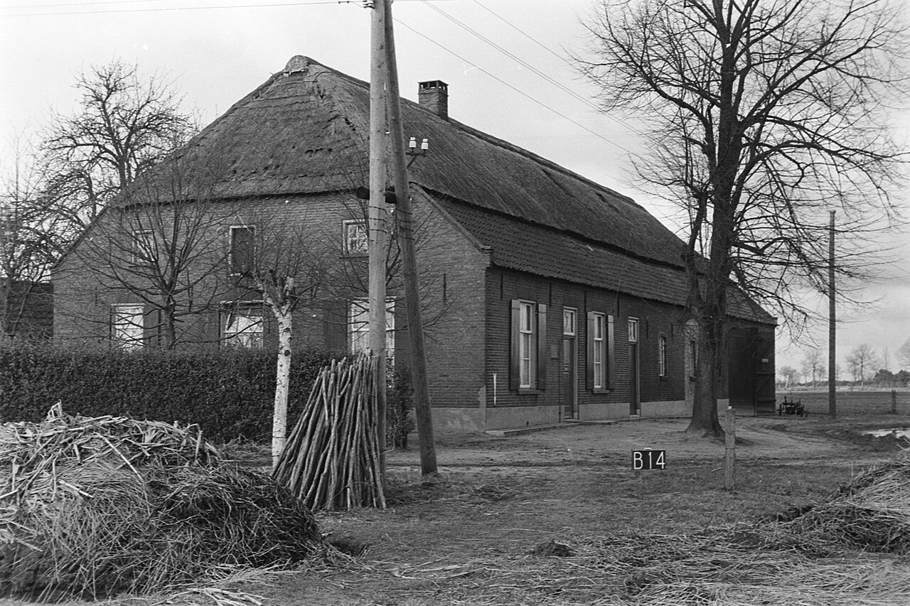 Langgevelboerderij met deels rieten dak, bossen takken en een berk op het erf